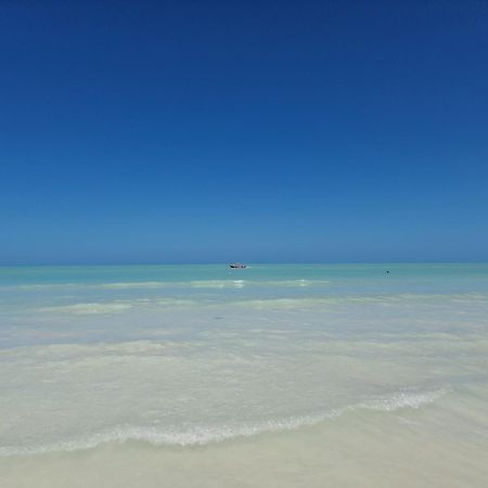 Luna Y Sol Glamping Holbox Ilha Holbox Exterior foto